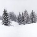 Lungarno Collection - Белым бело